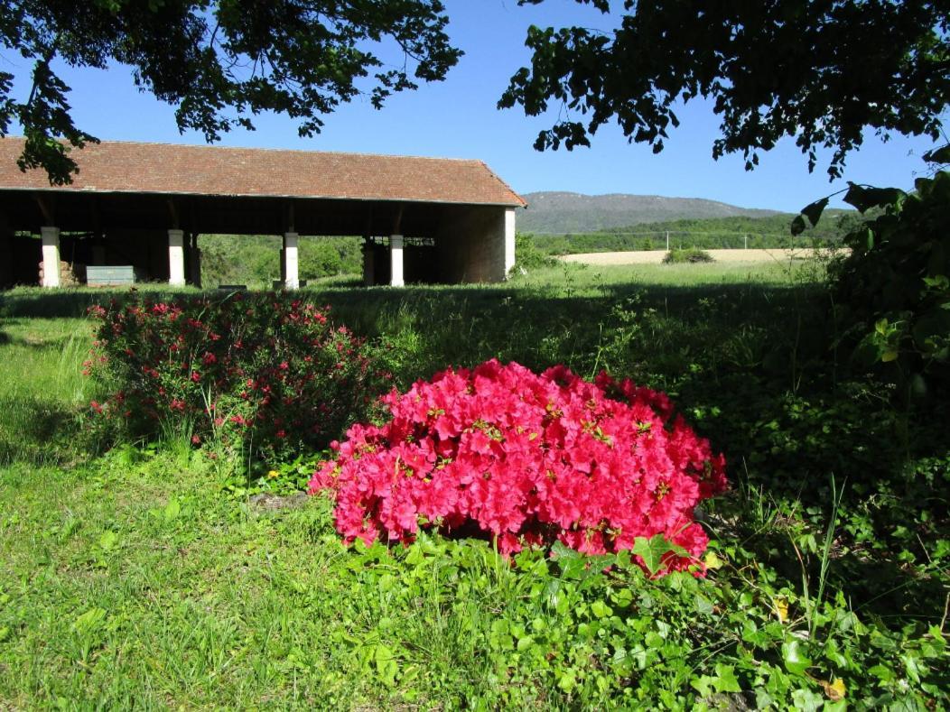 Domaine Des Chabriers Bed & Breakfast Ourches Exterior photo